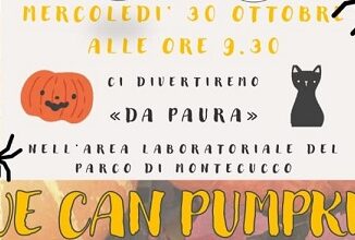 We-Can-Pumpkin-tre-scuo