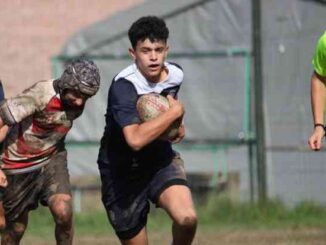 omnia rugby