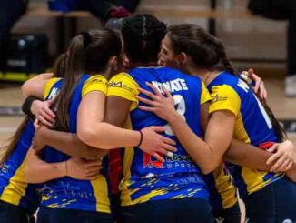 rossetti market conad