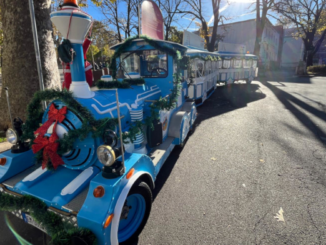 Eventi a Piacenza e dintorni fino a domenica 14 dicembre 2025