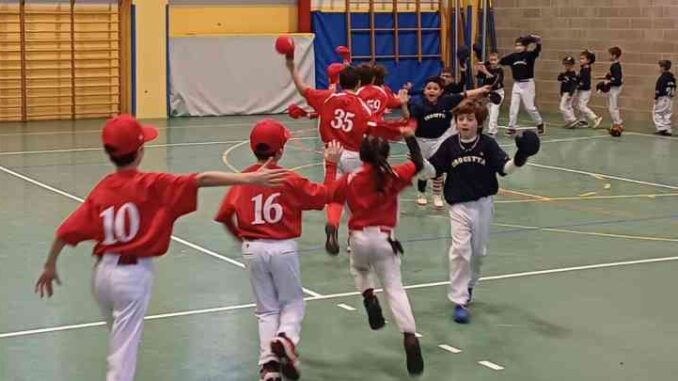 piacenza baseball