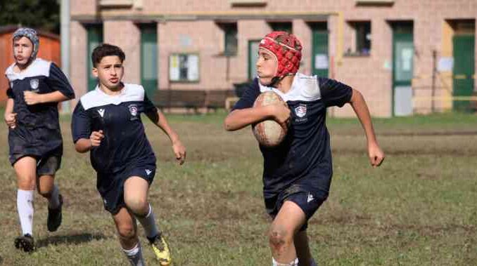 OMNIA RUGBY