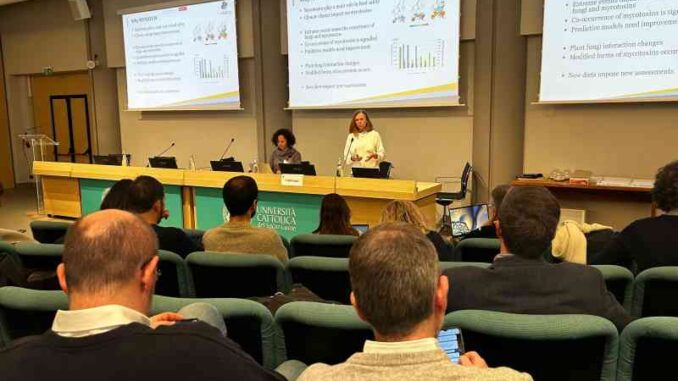 MyMatch progetto dell'Università Cattolica
