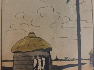 BOT l’Affricano, nuovi ritrovamenti