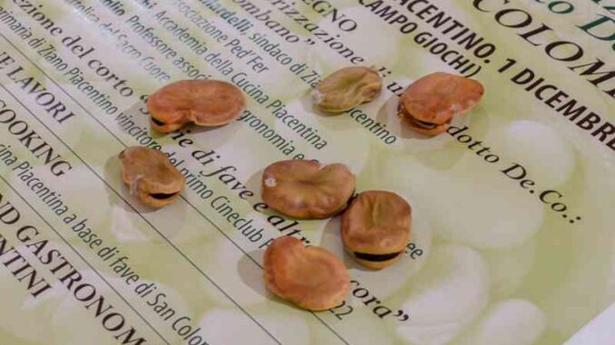 Le-Fave-di-San-Colombano-convegno-a-Vicobarone-per-la-Deco