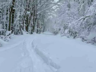 Ore senza corrente nel piacentino, Il Sindaco di Bettola: “Non è possibile nel 2024, linee da monitorare diversamente” - AUDIO