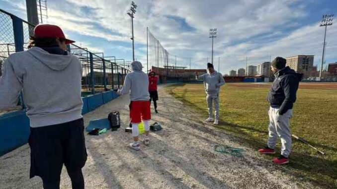 piacenza baseball