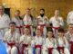 karate piacenza