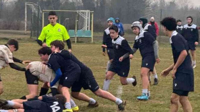 omnia rugby