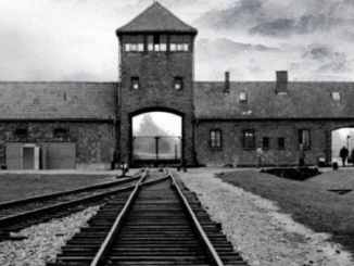 Giornata della Memoria 2025 Piacenza