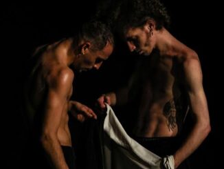 InSincronia 11° edizione