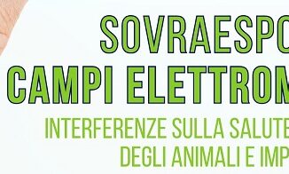 Sovraesposizione-ai-campi-elettromagnetici-incotri-nel-week-end