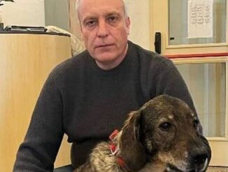 Un-amico-a-quattro-zampe-in-Comunita