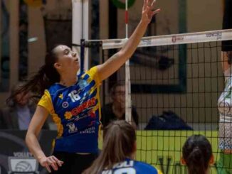 rossetti market conad