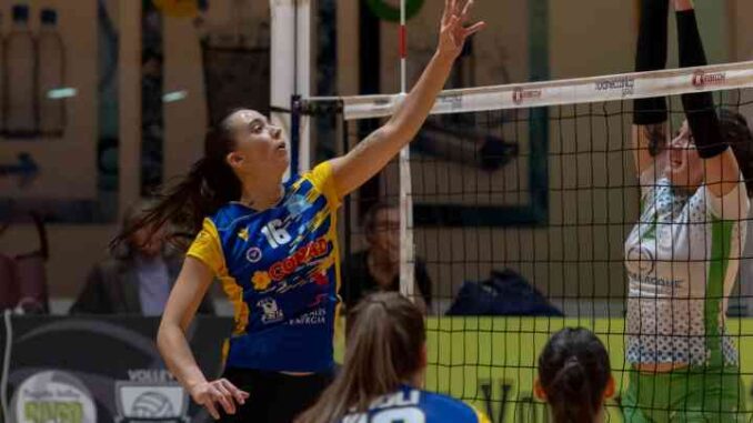 rossetti market conad