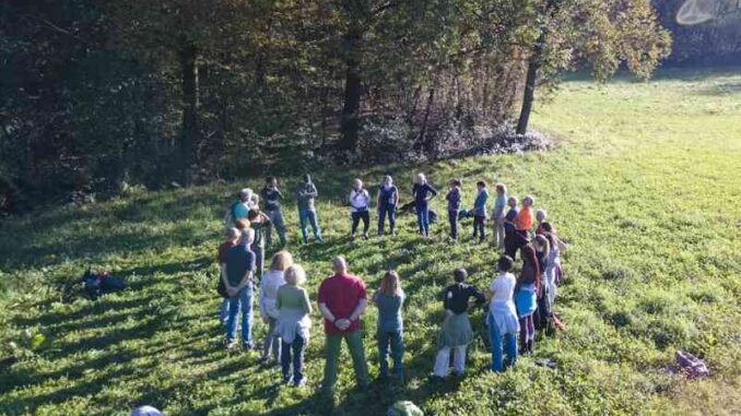 Improvvisamente, nel Bosco