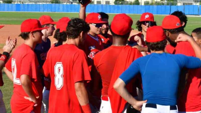 piacenza baseball