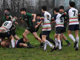 omnia rugby