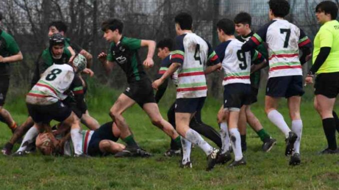 omnia rugby