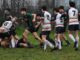 omnia rugby
