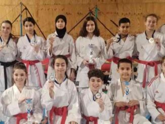 karate piacenza