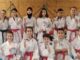 karate piacenza