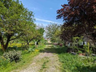 Coltivare tradizioni