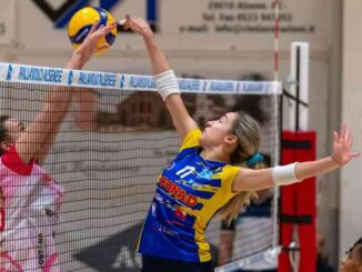 rossetti market conad