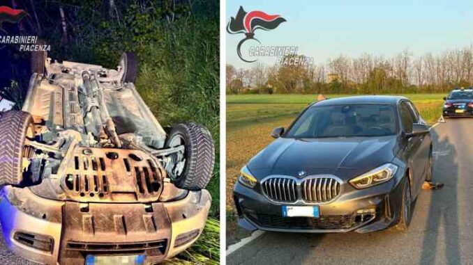 Animali-selvatici-in-strada-due-incidenti-in-poche-ore-60enne-si-ribalta-con-l8217auto-in-una-scarpata