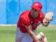 Piacenza Baseball