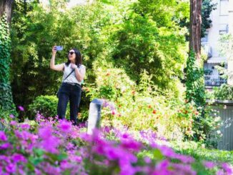 Interno Verde Piacenza: quasi 40 giardini aperti per festeggiare la terza edizione il 12 e 13 aprile - AUDIO