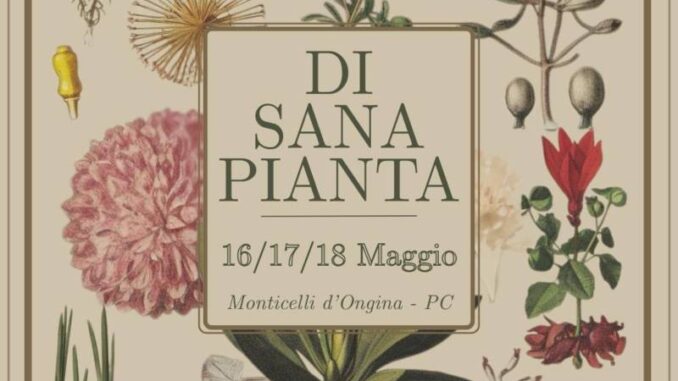 "Di Sana Pianta" Monticelli