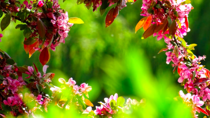 Eventi a Piacenza e dintorni fino a domenica 19 aprile 2026