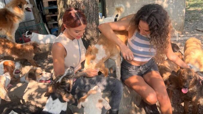 Rifugio Invisibili, l’aiuto di un team di ragazze alla struttura di Ponte dell’Olio - AUDIO