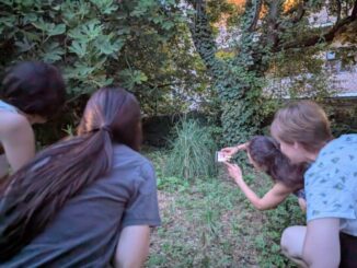 Brillano-le-lucciole-a-Piacenza