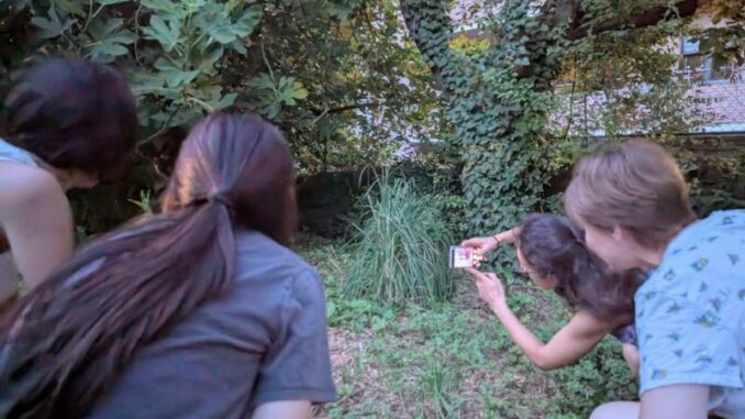 Brillano-le-lucciole-a-Piacenza