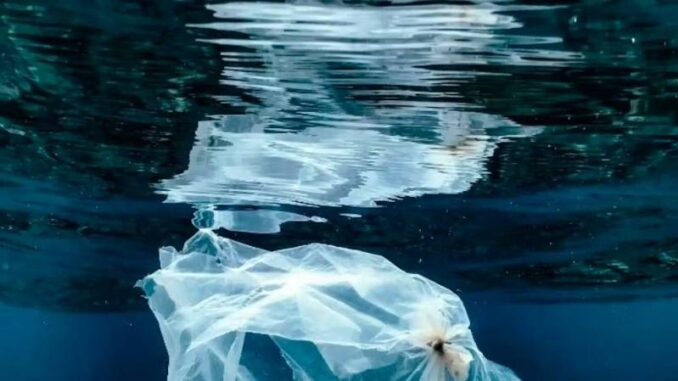 Effetti-della-plastica-nuovo-report-del-Wwf