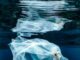 Effetti-della-plastica-nuovo-report-del-Wwf