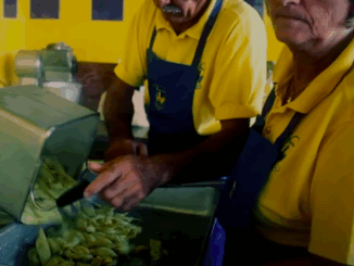 Festa del Tortello De.Co. 2025 a Vigolzone dal 25 al 29 luglio: gran chiusura con la Festa per i 30 anni dell'evento e lo spettacolo piromusicale