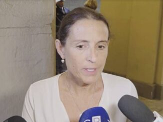 Piacenza, approvate le “Linee guida per l’amministrazione condivisa dei beni comuni”. Tarasconi: "Vero cambio di paradigma"