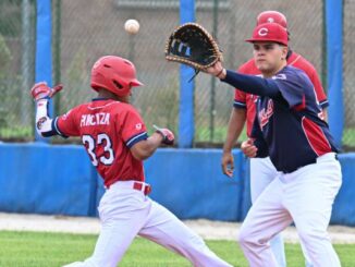 piacenza baseball