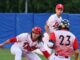 piacenza baseball