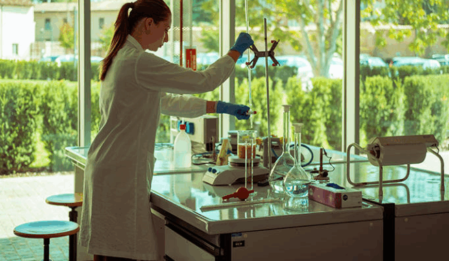 Facoltà scienze agrarie Cattolica richiesta occupazionale