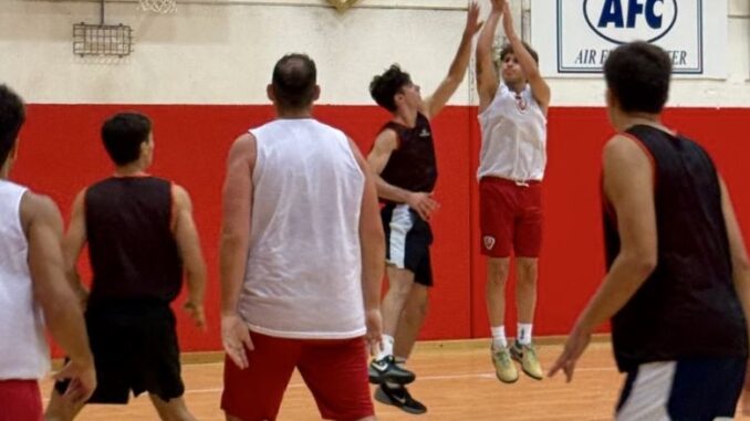 piacenza basket club