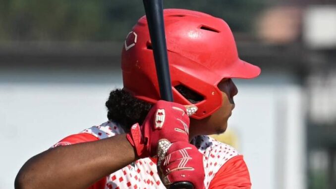 piacenza baseball