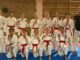 karate piacenza