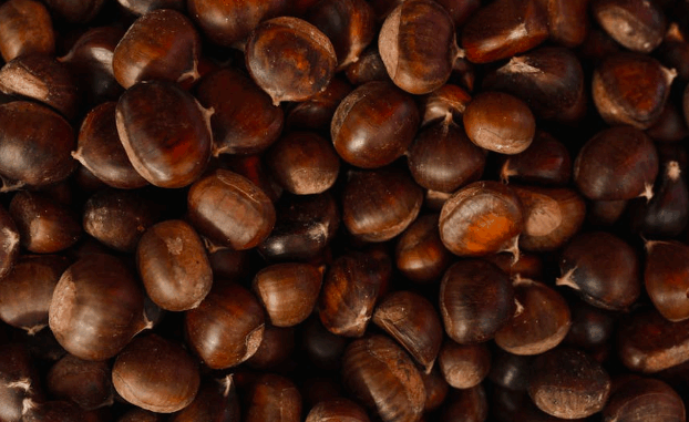 Eventi Piacenza fino 5 ottobre 2025