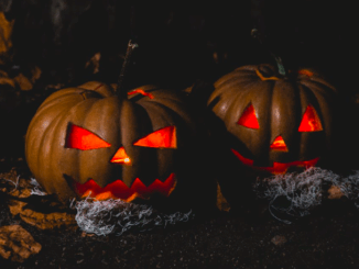 Eventi a Piacenza fino a domenica 2 novembre 2025