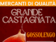 Grande Castagnata a Gossolengo con i Mercanti di Qualità