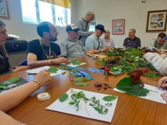 Mostrandoci nel Verde